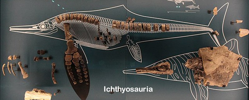 Período Cretácico Ichthyosauria