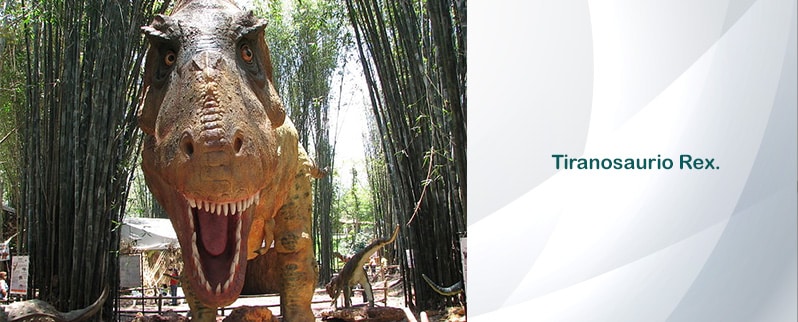 Período Cretácico T Rex
