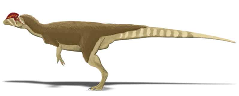 Período Jurásico Dilofosaurio
