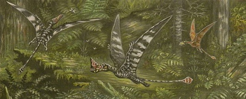 Período Jurásico Pterosaurios