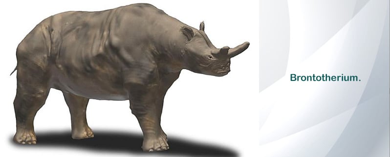 Período Paleógeno brontotherium