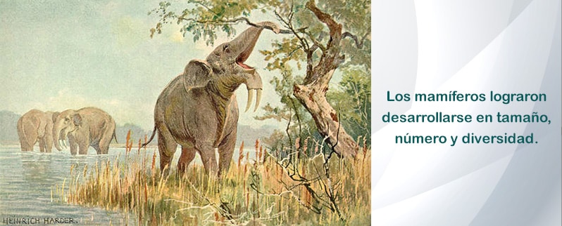 Período Paleógeno mamíferos
