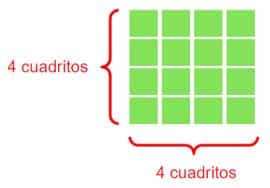 Raiz Cuadrada De Primaria