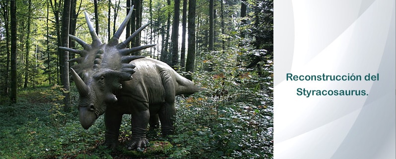 Reconstrucción Styracosaurus