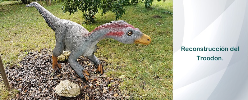 Reconstrucción Troodon