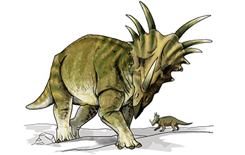 Styracosaurus