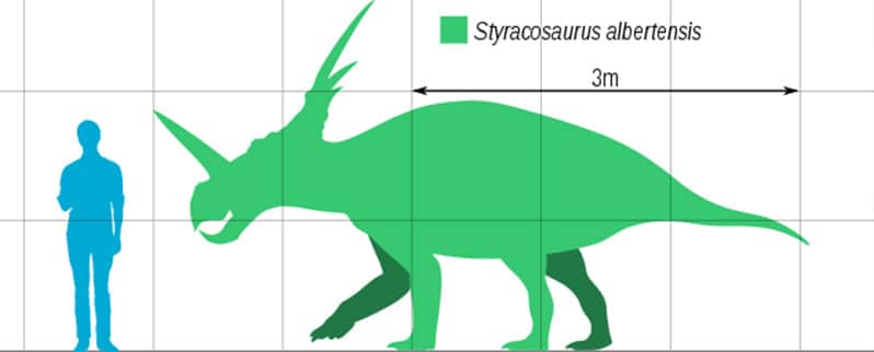Tamaño Styracosaurus