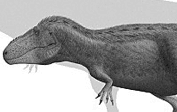 Tarbosaurus Tarbosaurus