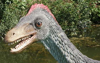 Troodon