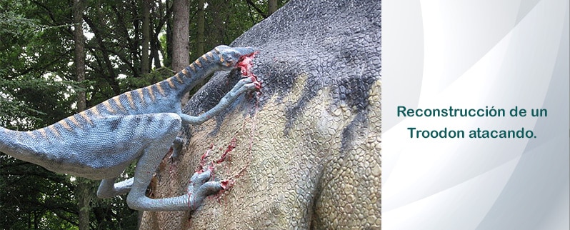 Troodon