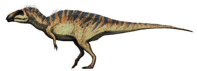 640px Acrocanthosaurus Restoration