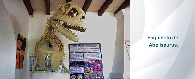 Abelisaurus Esqueleto