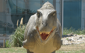 Abelisaurus