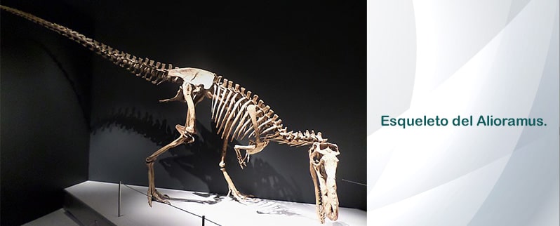 Alioramus Esqueleto