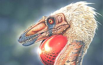 Alioramus