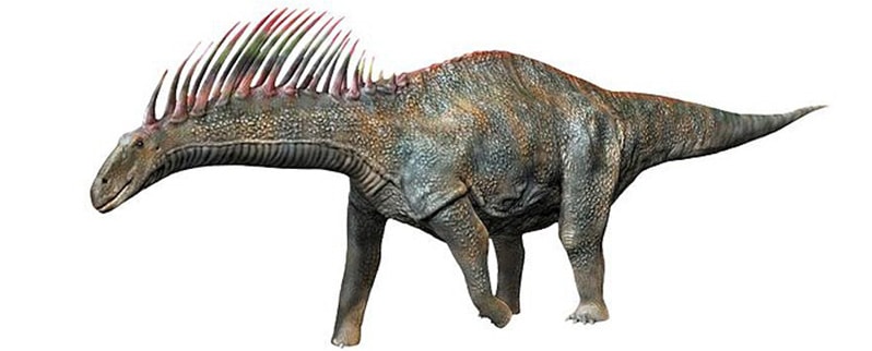 Amargasaurus