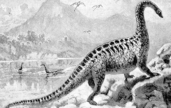 Amphicoelias