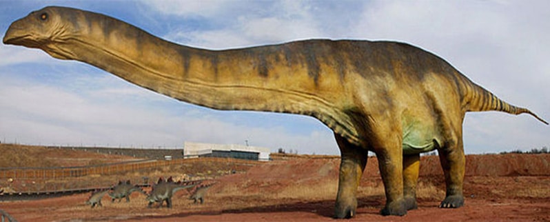 Amphicoelias