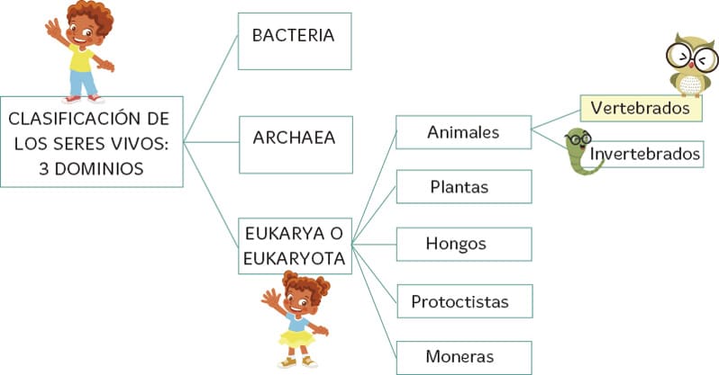 Cuáles son los animales vertebrados para niños