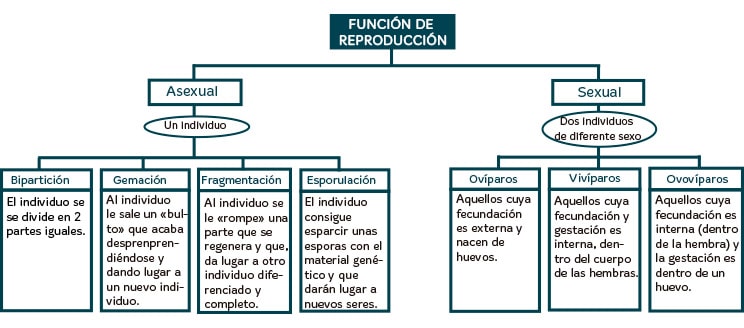 Factores abióticos y bióticos