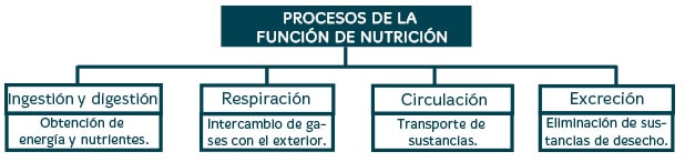 Factores bióticos y abióticos para niños
