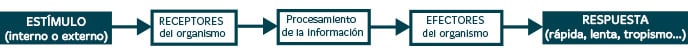 Factores bióticos y abióticos para primaria