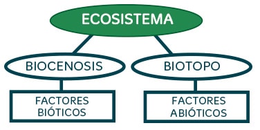 Factores bióticos y abióticos