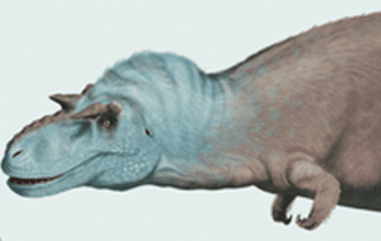 Gorgosaurus