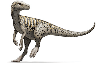 Herrerasaurus