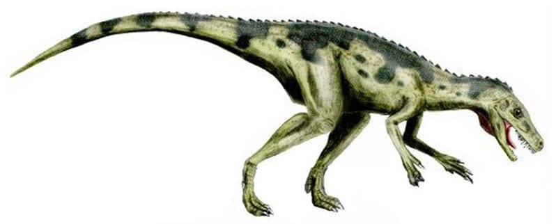 Herrerasaurus