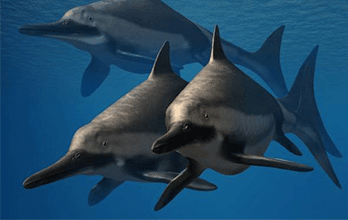 Ichthyosaurus