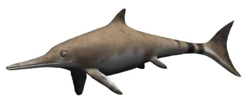 Ichthyosaurus Reconstrucción