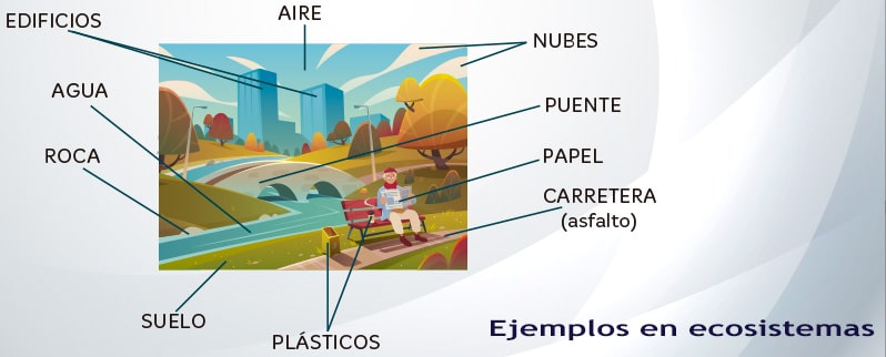 Los factores bióticos y abióticos para niños