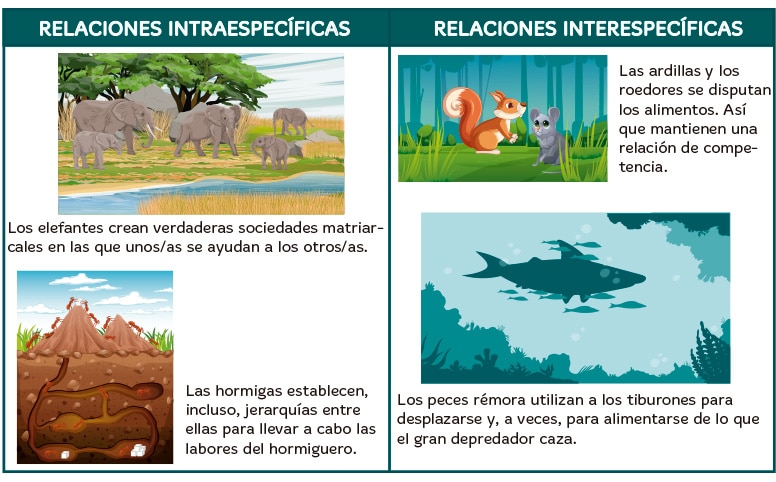 Los factores bióticos y abióticos