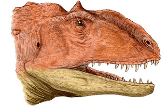 Majungasaurus