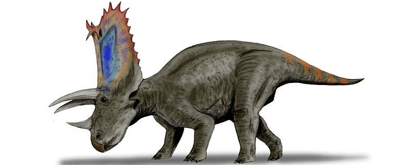 Pentaceratops