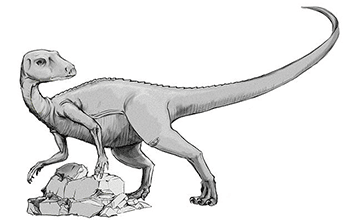 Abrictosaurus