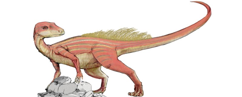 Abrictosaurus