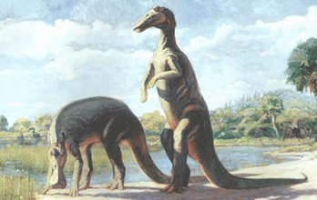Anatotitan