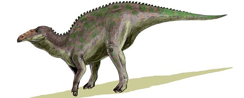 Anatotitan