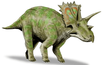 Anchiceratops