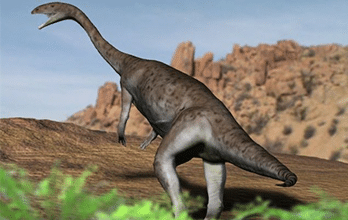 Anchisaurus