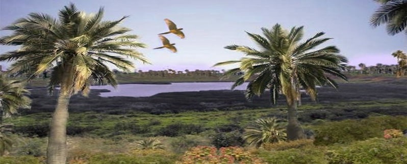 Aragosaurus Hábitat