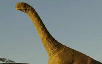 Aragosaurus