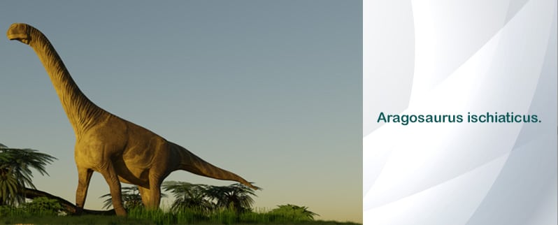 Aragosaurus
