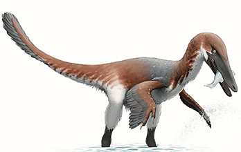 Austroraptor