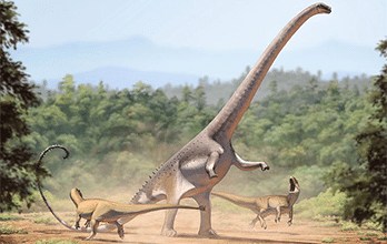 Barosaurus
