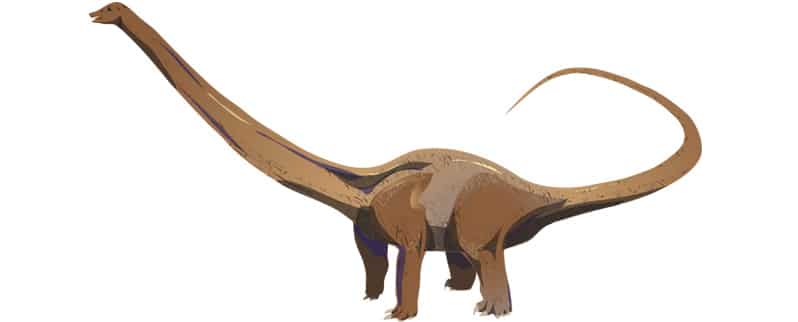 Barosaurus