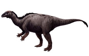 II➤ Camptosaurus II➤ Camptosaurus
