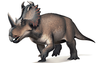 ⭐ Centrosaurus ⭐ Centrosaurus